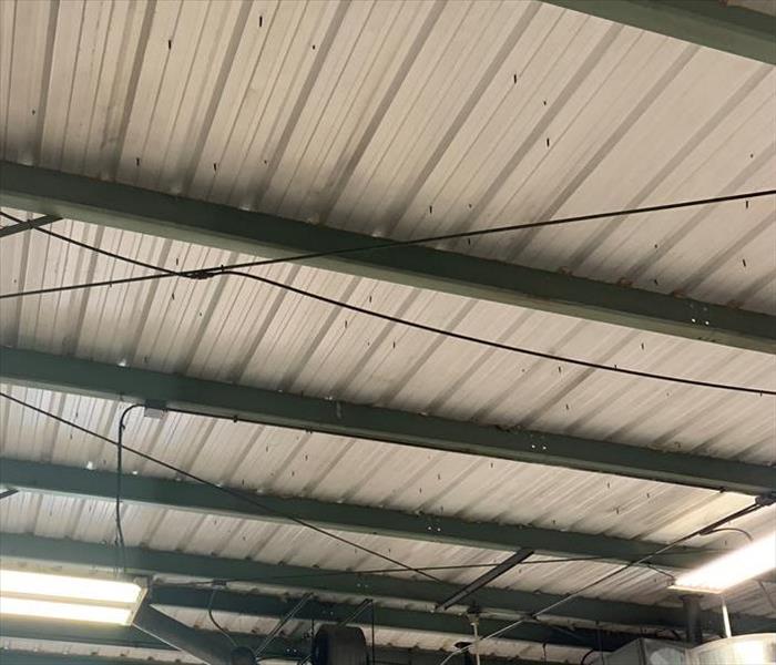 clean metal panel ceiling in business 