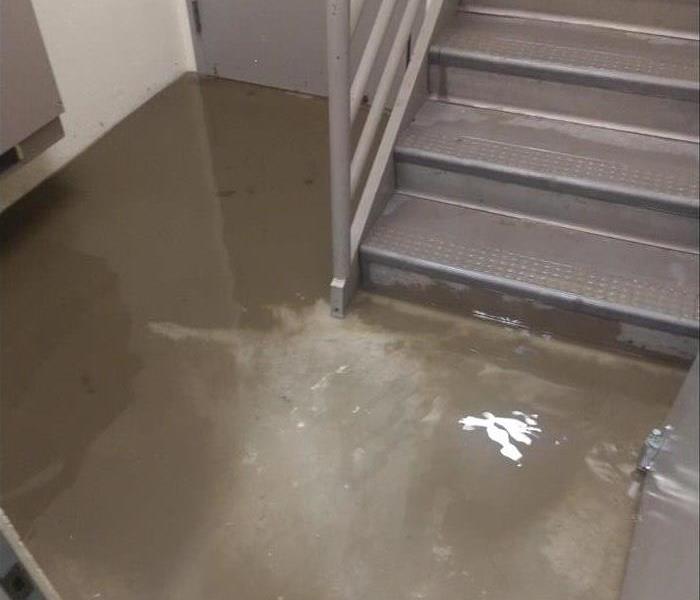 concrete floor with stairs with standing water at he bottom of the stairs 