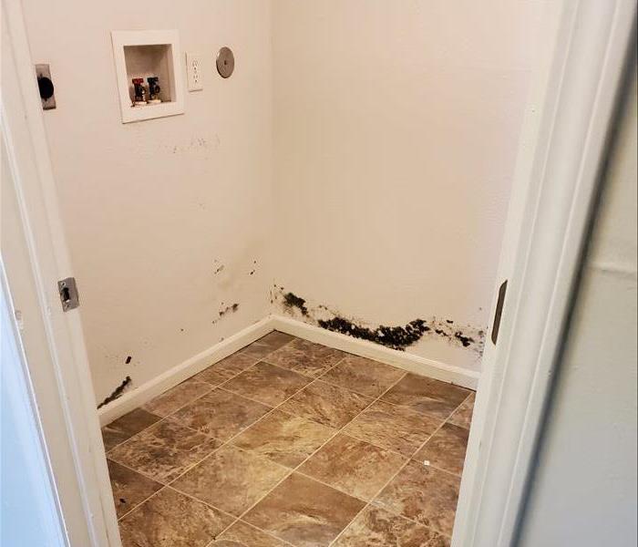 laundry room with tile flooring white walls with mold spores 