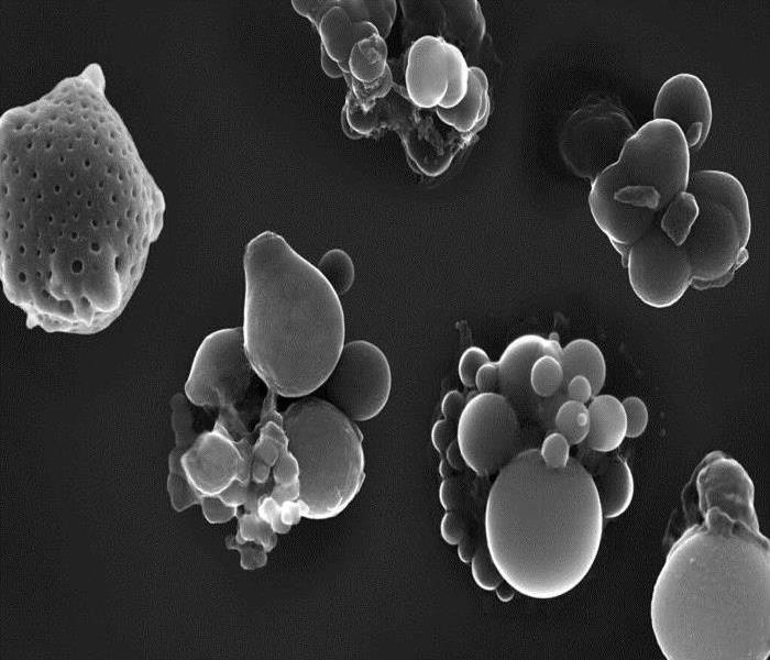 A black and white image of microscopic airborne particles in circular and oval form.